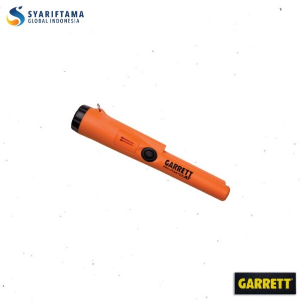 Garrett Pro Pointer AT