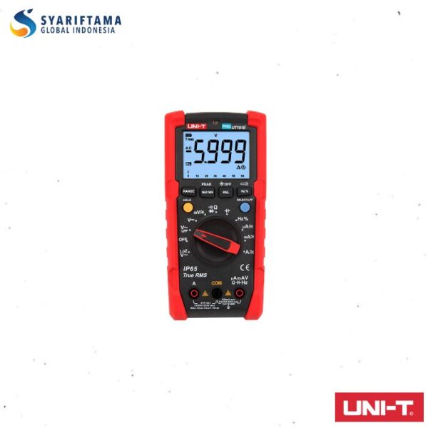 Uni-T UT195DS Professional Multimeter